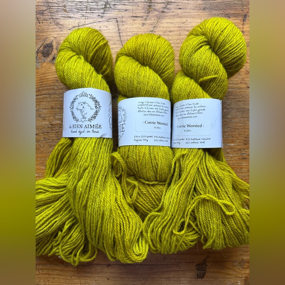 3 skeins La Bien Aimee Corrie Worsted Yarn in Kokko